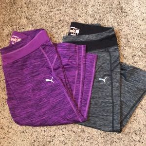 Puma capris